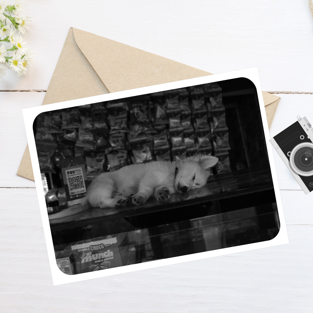 Street Side Dreams – 7x5 Matte Print