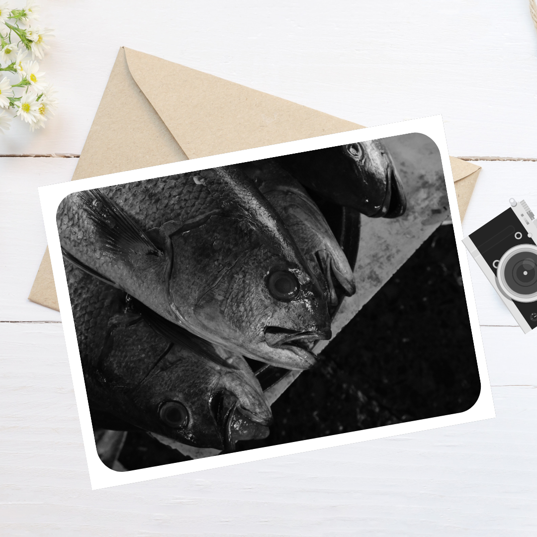 The Catch (Sassoon Dock) - 7x5 Matte Print