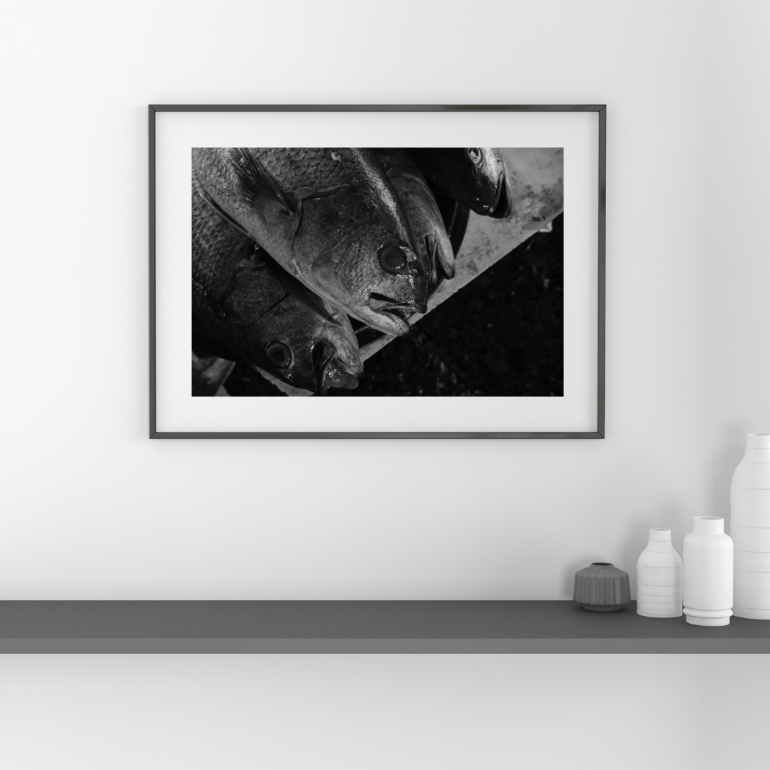 The Catch (Sassoon Dock) - 24x16 Inch Framed Print